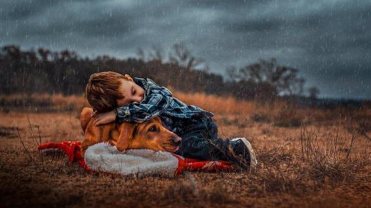 Cute-boy-and-dog-in-rain_m
